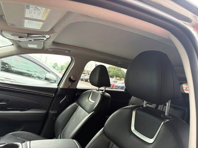 2024 Hyundai Tucson Hybrid Limited