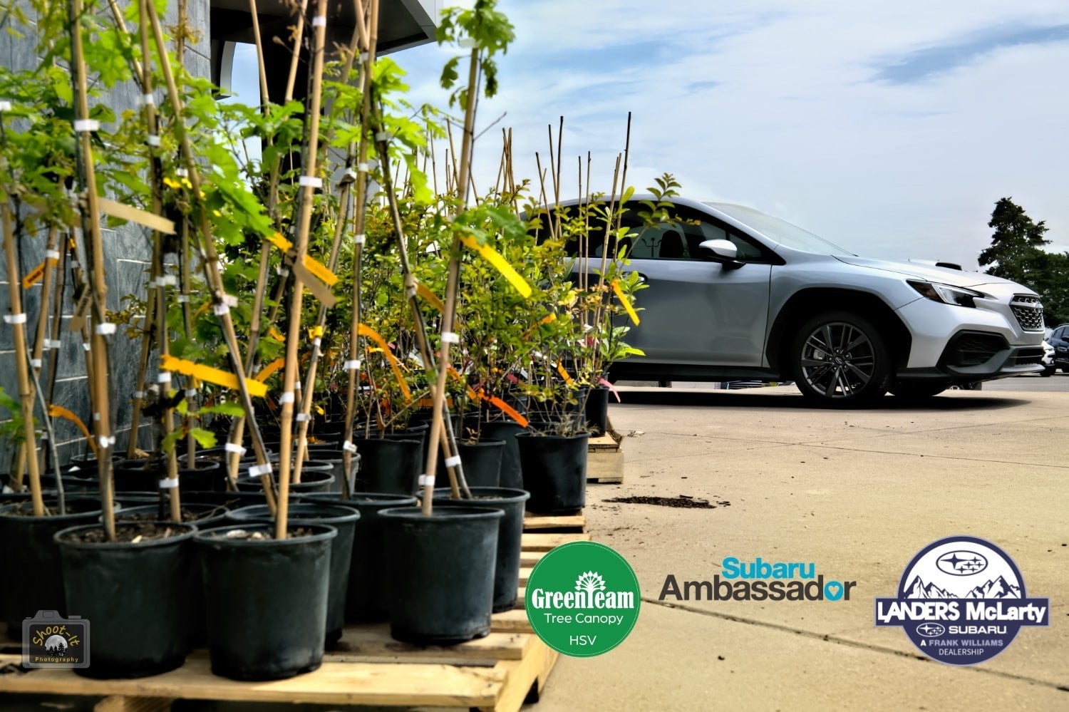 Potted saplings in the foreground on pallets, with a silver Subaru car parked in the background under a cloudy sky